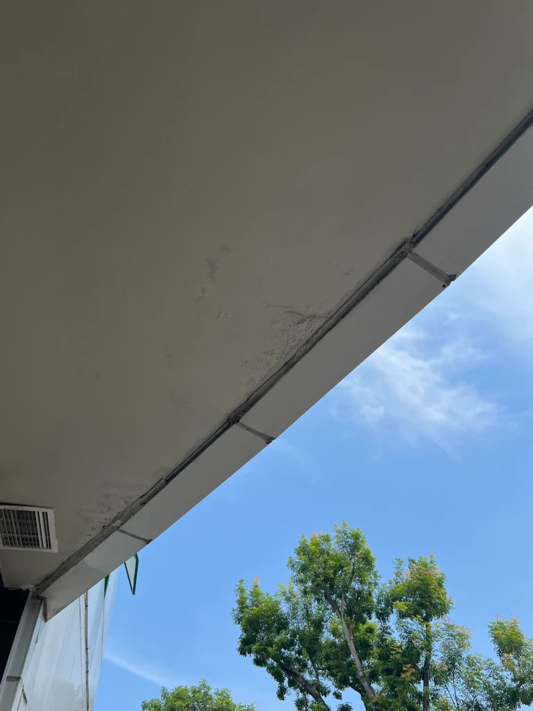 Water stains on plaster ceiling scaled