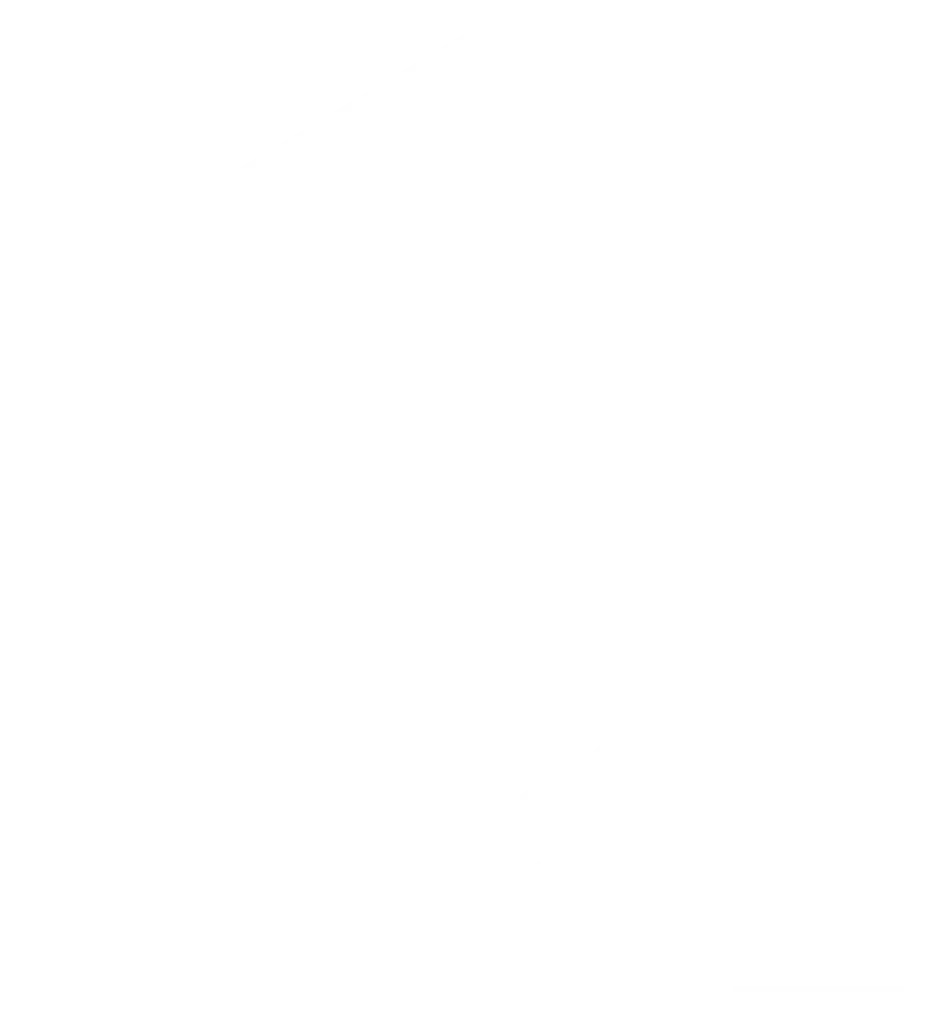 sgfacadescan icon white